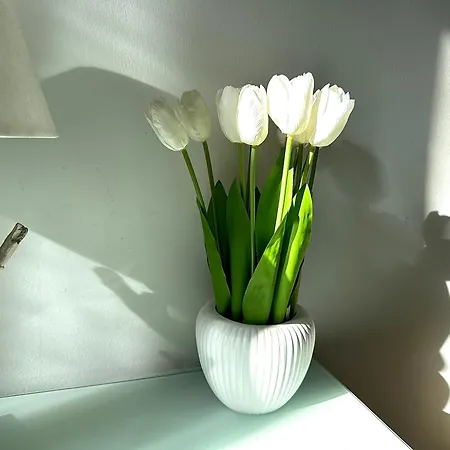 Apartament Upi-up Staying *